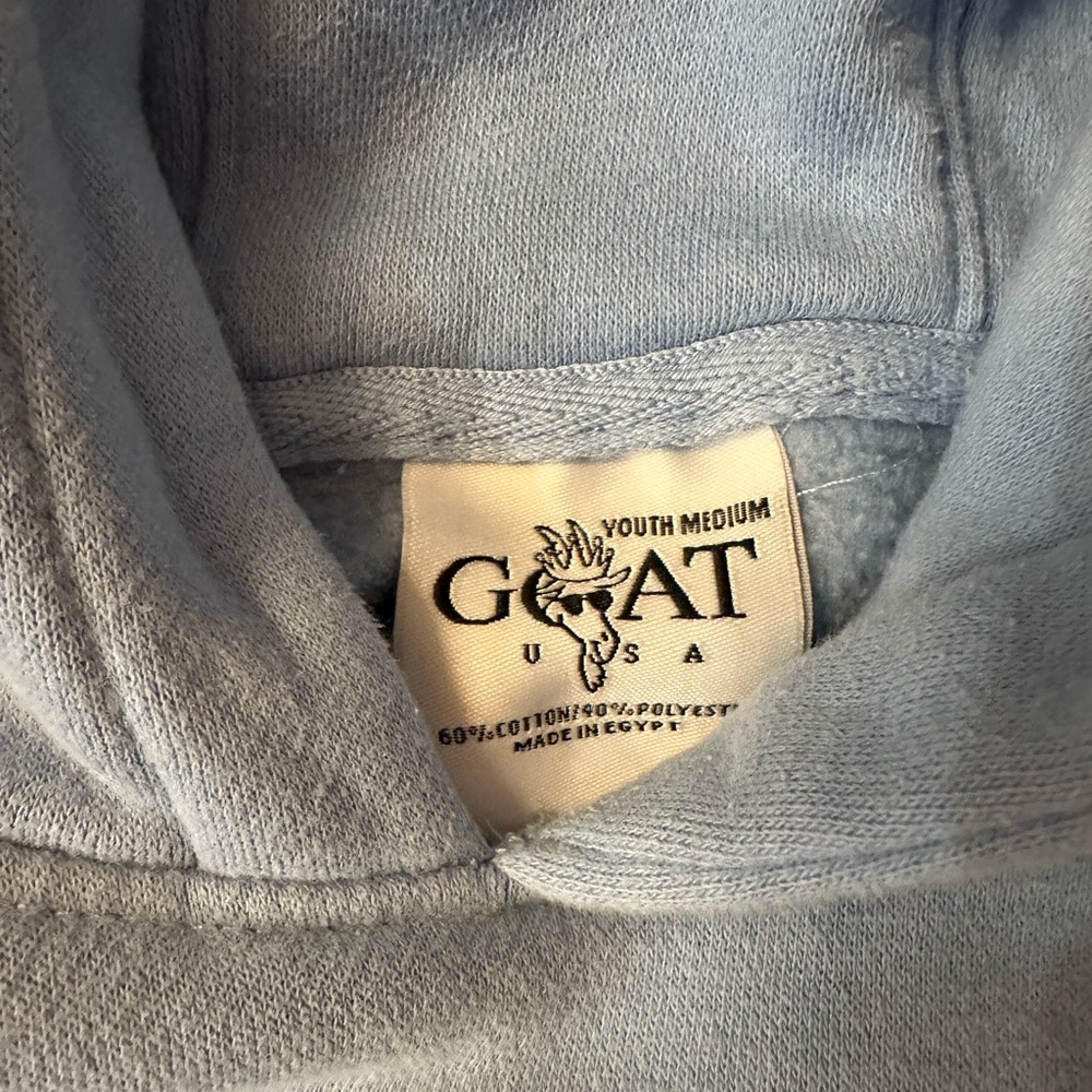 Children's Light Blue Hoodie GOAT USA - Picture 3 of 4